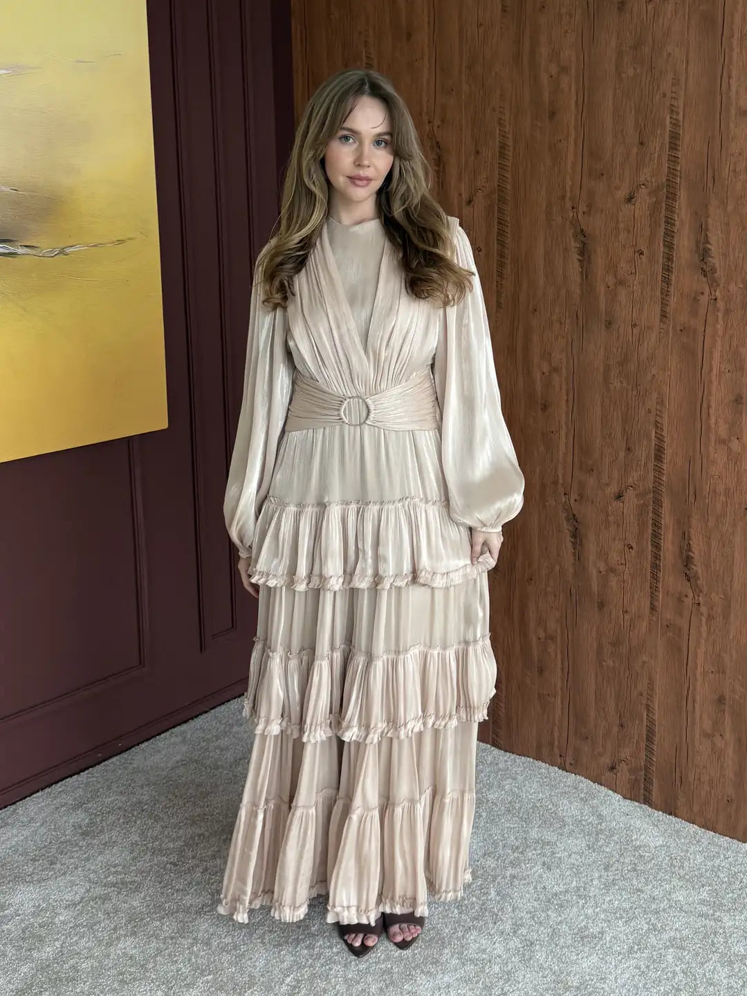 Elegant Organza Dress