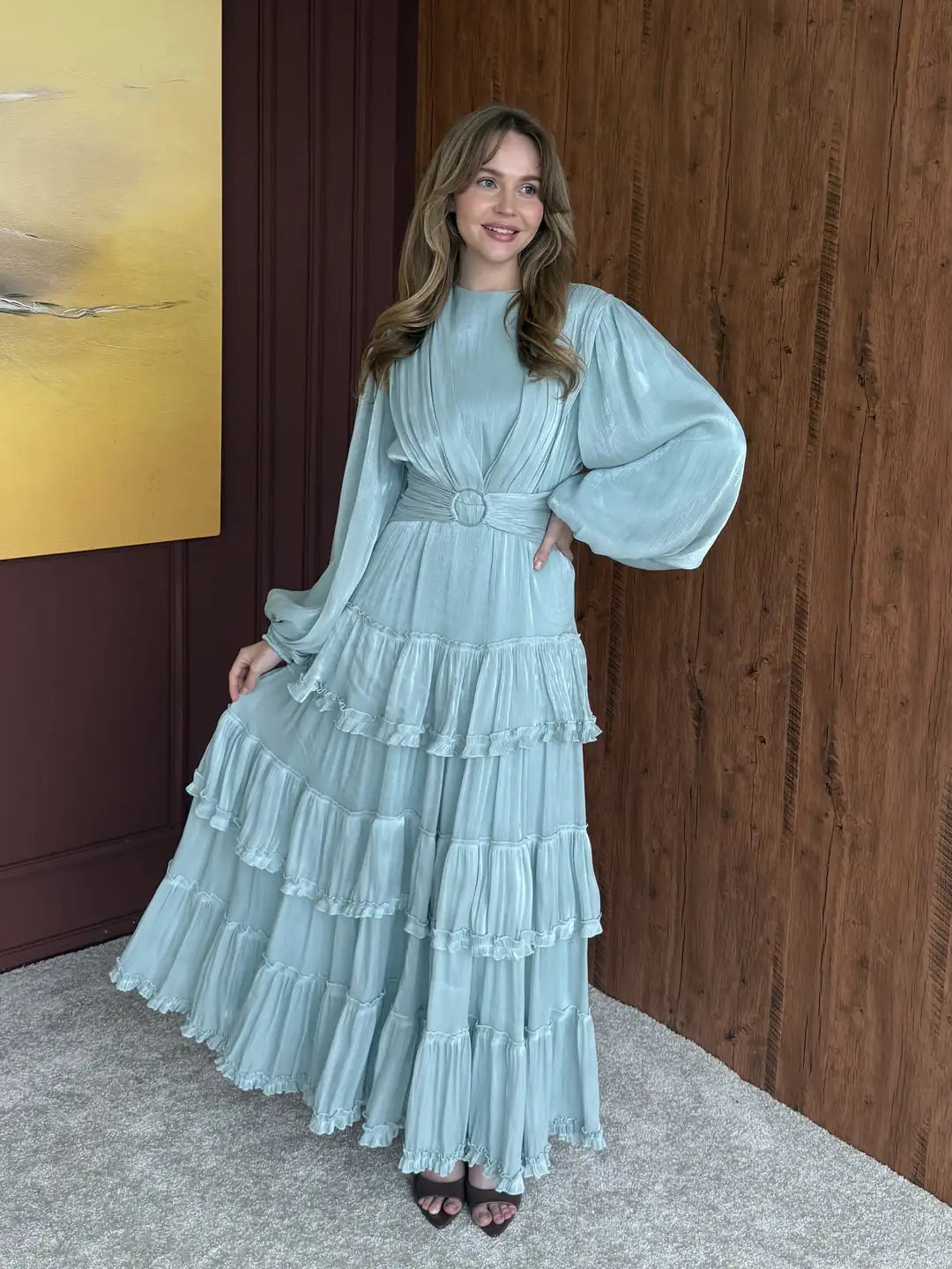 Elegant Organza Dress